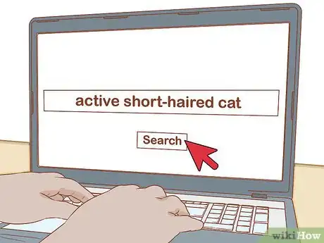 Image titled Find the Right Cat Breed for You Step 6
