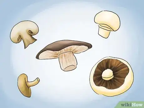 Image titled Add Immune Boosting Foods to Your Diet Step 03