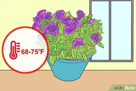 Image titled Grow Lisianthus Step 10