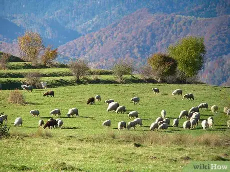 Image titled Become a Farmer at Fifty Step 9