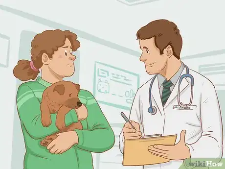 Image titled Treat an Insect Bite on a Dog Step 2