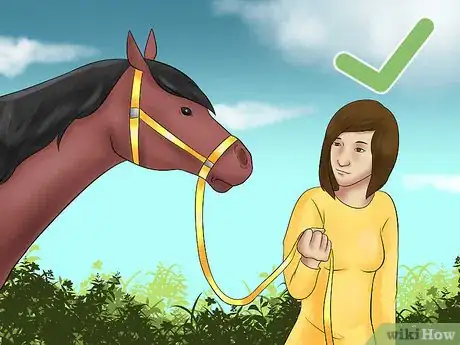 Image titled Catch a Horse Step 12