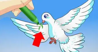 Draw a Dove