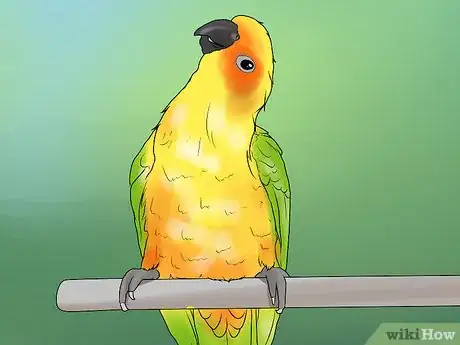 Image titled Treat Chlamydiosis in Conures Step 9