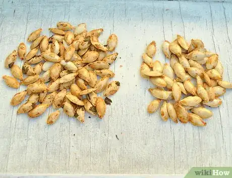 Image titled Make Pumpkin Seeds in the Oven Step 14