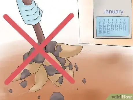 Image titled Grow Perennial Vegetables Step 12