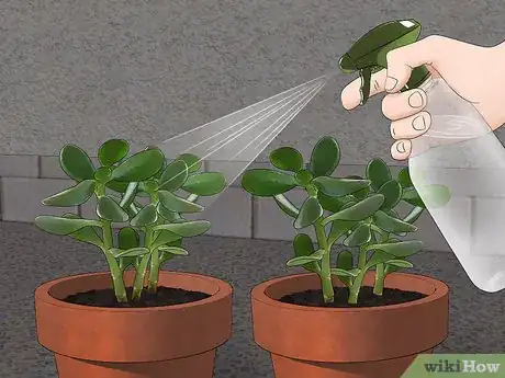 Image titled Kill Spider Mites Step 6