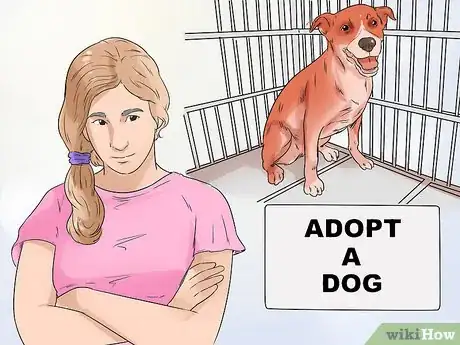 Image titled Choose an Active Dog Step 18