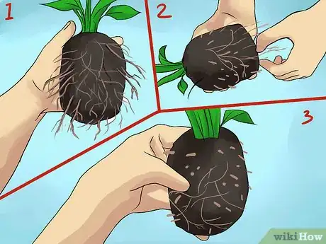 Image titled Create Tree Flower Beds Step 14