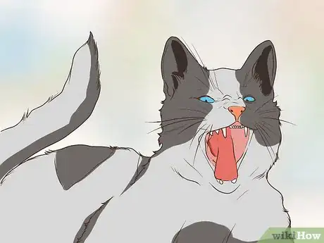 Image titled Watch for Common Senior Cat Health Issues Step 6