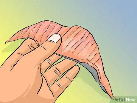 Image titled Clean Sunfish Step 10