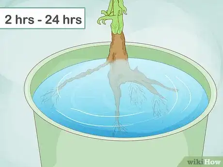 Image titled Plant a Shrub Step 12