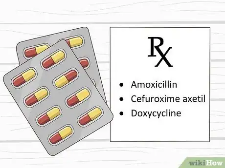 Image titled Beat Lyme Disease Step 3