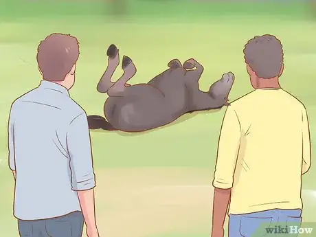 Image titled Uncast a Horse Step 1