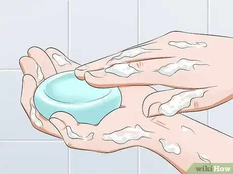 Image titled Care for an Injured Wild Bird That Cannot Fly Step 12