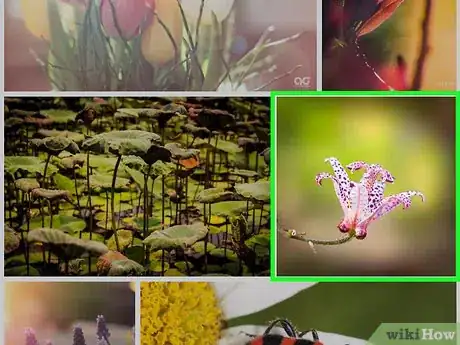 Image titled Use 500px on Android Step 11