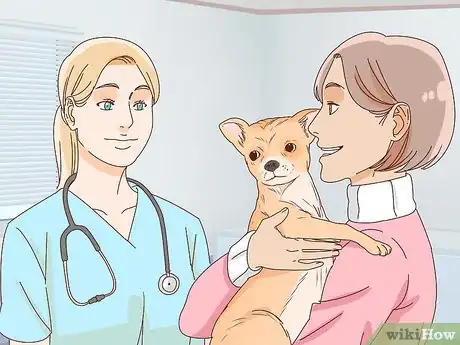 Image titled Tell if a Dog Is Pregnant Step 9