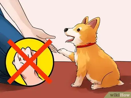 Image titled Adopt a Purebred Dog Step 14