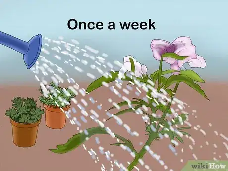 Image titled Plant a Low Water Garden Step 9