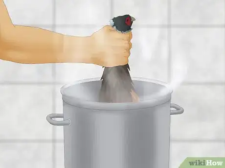 Image titled Pluck a Pheasant Step 11