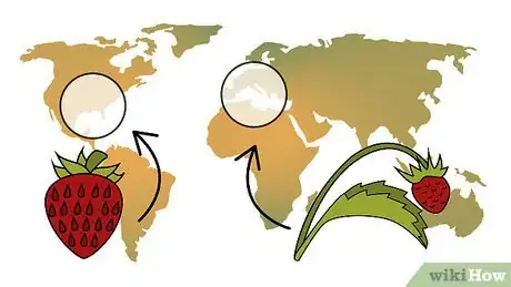 Image titled Buy a Strawberry Plant Step 4