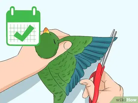 Image titled Groom Lories and Lorikeets Step 17