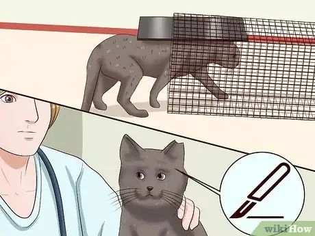 Image titled Repel Cats Step 13