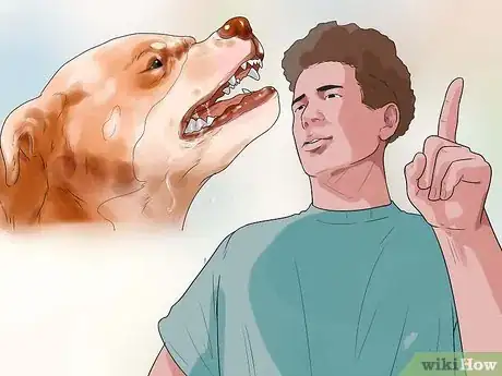 Image titled Get Your Dog Paid TV Appearances Step 3