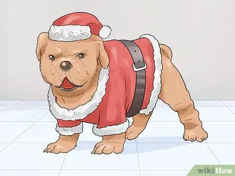 Image titled Dress Your Dog Step 6