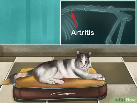 Image titled Choose a Heated Cat Bed or Pad Step 6