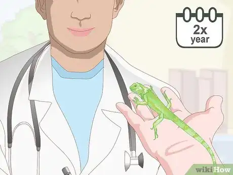 Image titled Care for a Green Iguana Hatchling Step 16