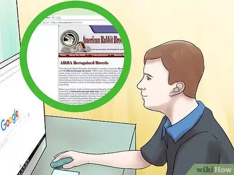 Image titled Adopt a Rabbit Step 4