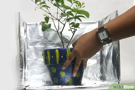 Image titled Use Aluminum Foil for Gardening Step 13