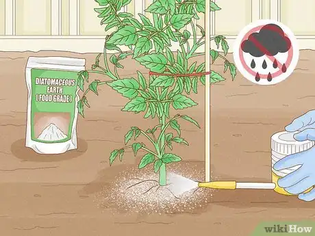 Image titled Use Diatomaceous Earth for Pest Control Step 9