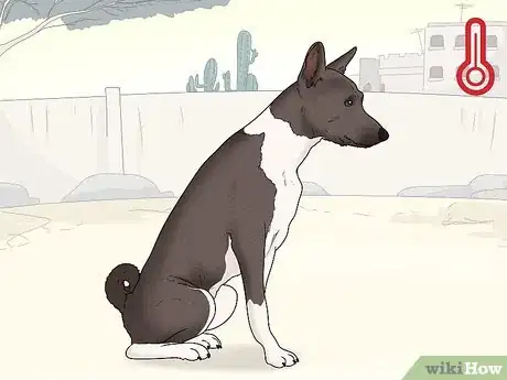 Image titled Choose a Dog Suitable for Your Climate Step 5
