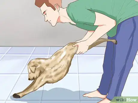 Image titled Do Yoga with Your Dog Step 5