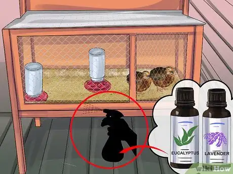 Image titled Treat Avian Pox in Button Quail Step 13