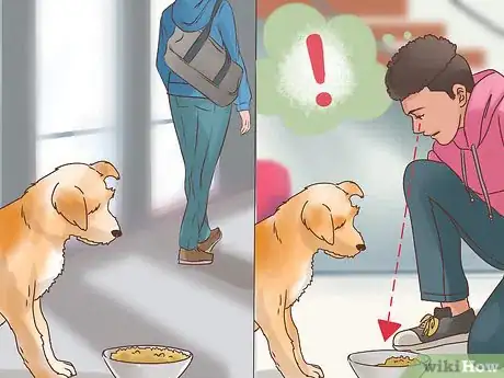 Image titled Know if Your Older Dog Suffers from Separation Anxiety Step 3