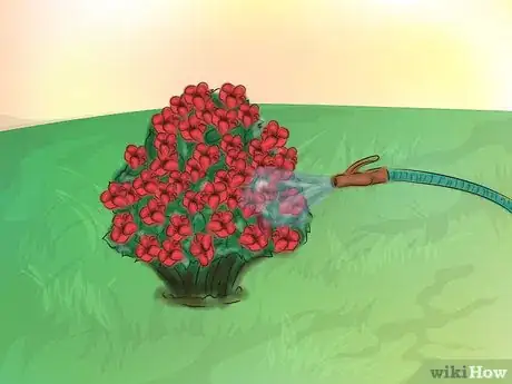 Image titled Grow Knockout Roses Step 17