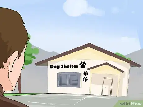 Image titled Choose a Laid‐Back Dog Step 13