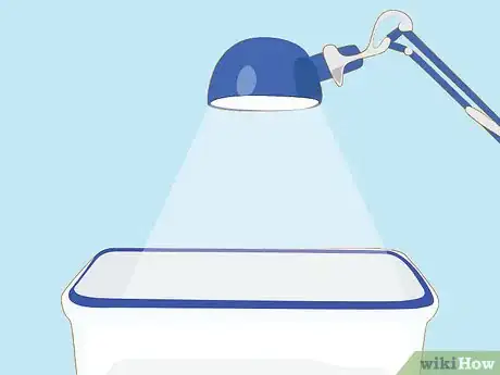 Image titled Set up a Billabong Bugs Kit Step 8