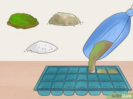 Image titled Grow Flowers from Seed Step 2