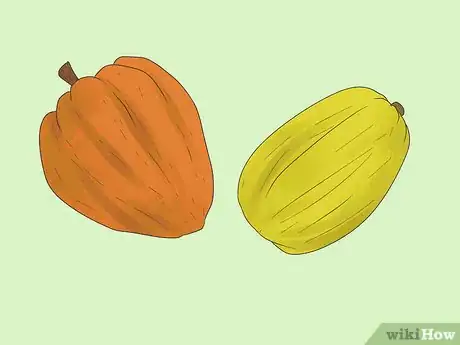 Image titled Cross Pollinate Different Vegetables to Create Hybrids Step 1