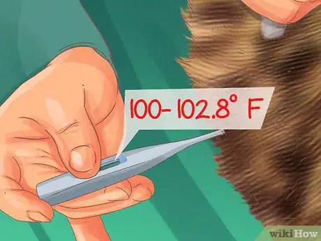 Image titled Diagnose Cytauxzoonosis in Cats Step 6