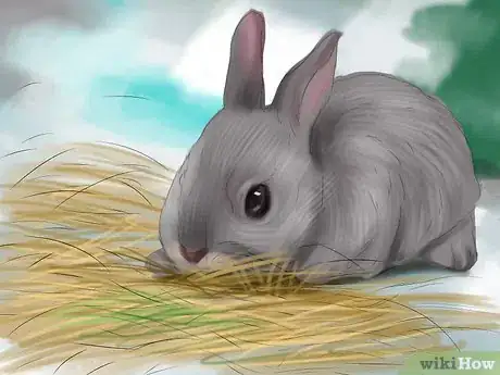Image titled Prevent Dental Problems in Rabbits Step 3