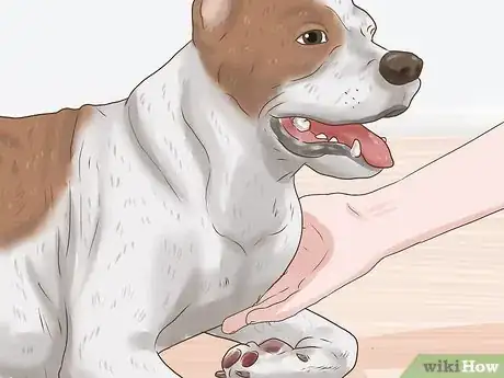 Image titled Meet Someone's New Dog Step 8