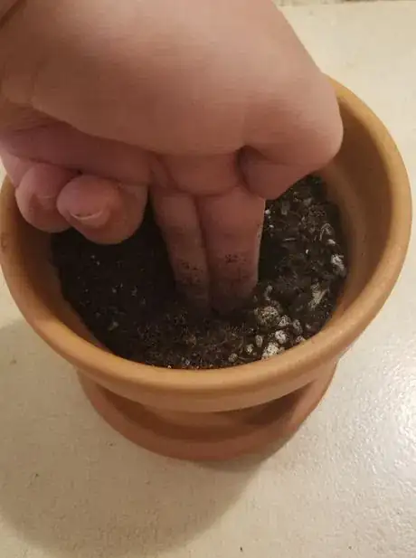 Image titled Holeinsoil