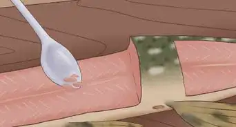 Clean and Fillet a Northern Pike