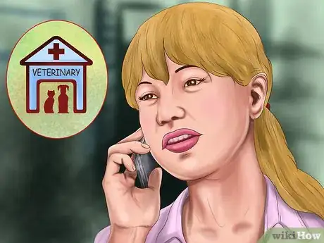 Image titled Heal a Cut on a Horse Step 4