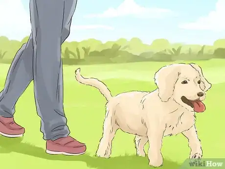 Image titled Help Your Dog Live Longer Step 8